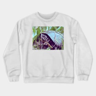 Turtle Crewneck Sweatshirt